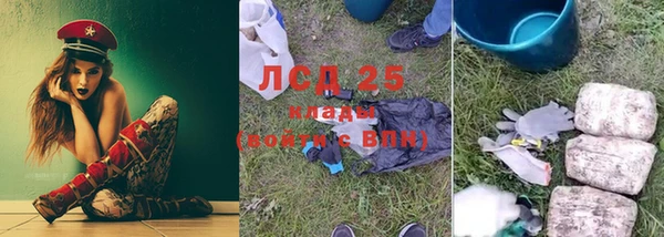 хмурый Абаза